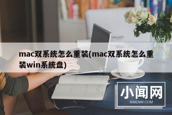 mac双系统怎么重装(mac双系统怎么重装win系统盘)