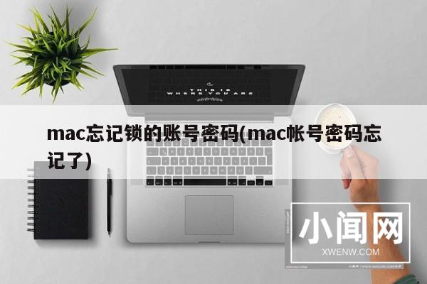 mac忘记锁的账号密码(mac帐号密码忘记了)