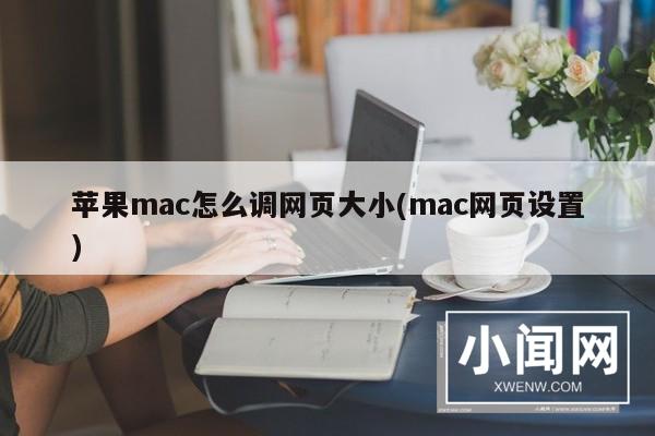 苹果mac怎么调网页大小(mac网页设置)