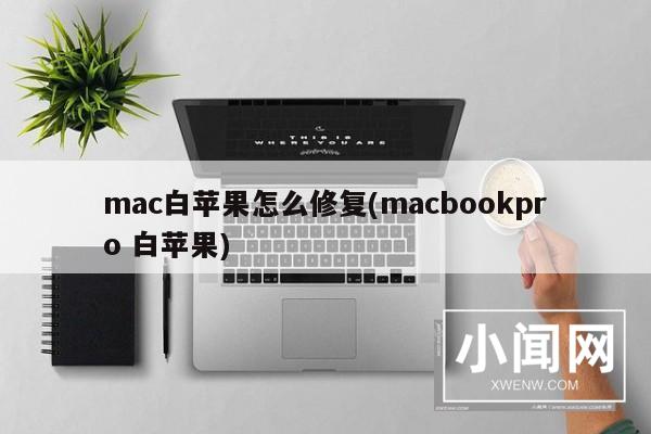 mac白苹果怎么修复(macbookpro 白苹果)