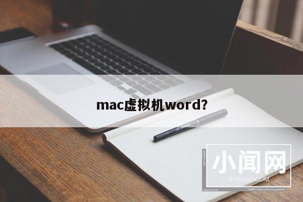 mac虚拟机word？