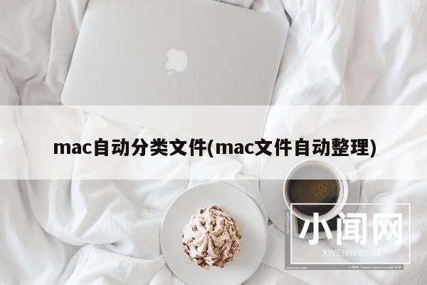 mac自动分类文件(mac文件自动整理)