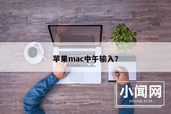 苹果mac中午输入？