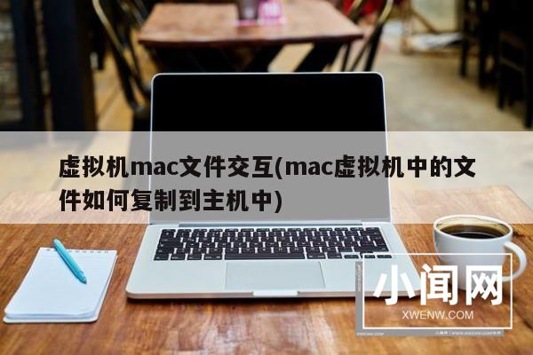 虚拟机mac文件交互(mac虚拟机中的文件如何复制到主机中)