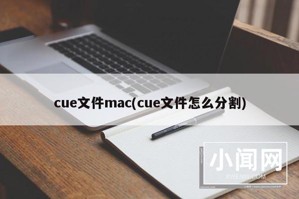 cue文件mac(cue文件怎么分割)