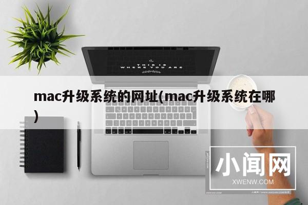 mac升级系统的网址(mac升级系统在哪)