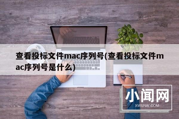 查看投标文件mac序列号(查看投标文件mac序列号是什么)