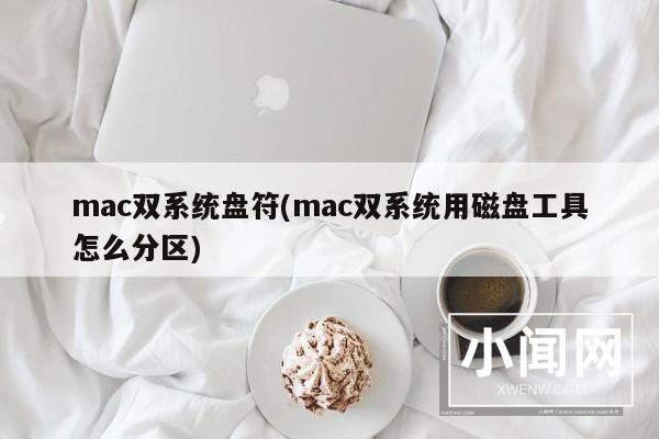 mac双系统盘符(mac双系统用磁盘工具怎么分区)