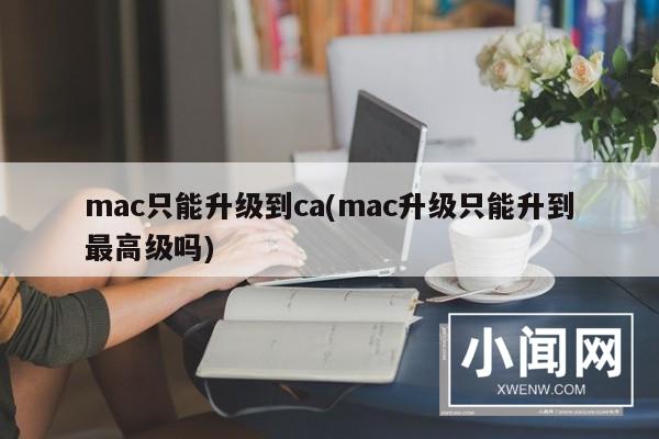 mac只能升级到ca(mac升级只能升到最高级吗)