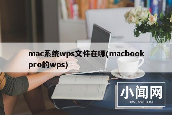 mac系统wps文件在哪(macbookpro的wps)