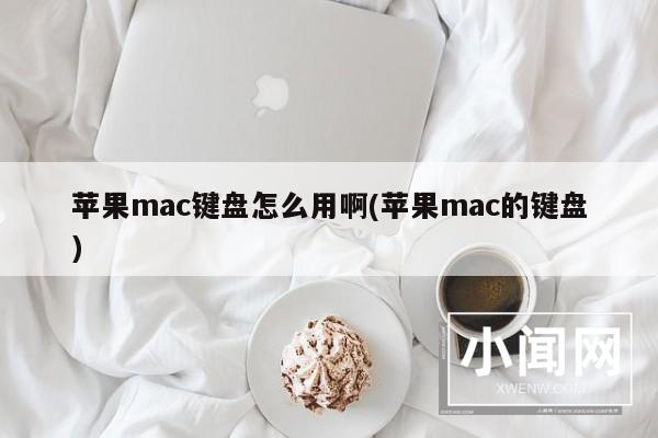 苹果mac键盘怎么用啊(苹果mac的键盘)