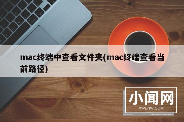 mac终端中查看文件夹(mac终端查看当前路径)