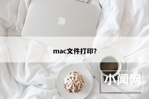 mac文件打印？