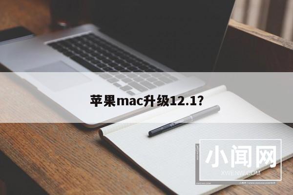 苹果mac升级12.1？