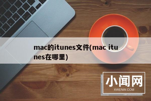 mac的itunes文件(mac itunes在哪里)