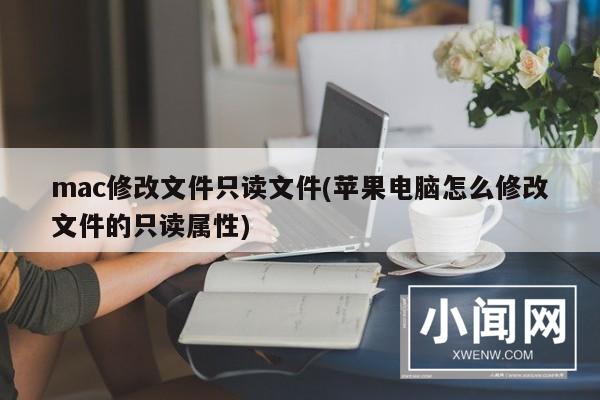 mac修改文件只读文件(苹果电脑怎么修改文件的只读属性)