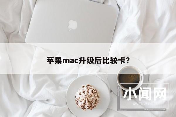 苹果mac升级后比较卡？