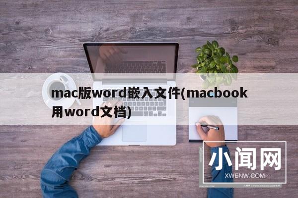 mac版word嵌入文件(macbook用word文档)