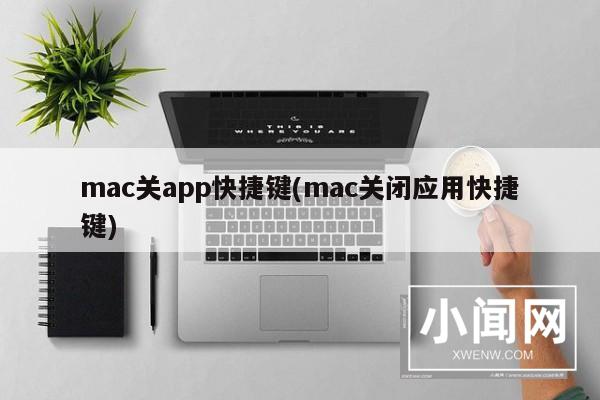 mac关app快捷键(mac关闭应用快捷键)