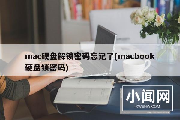 mac硬盘解锁密码忘记了(macbook硬盘锁密码)