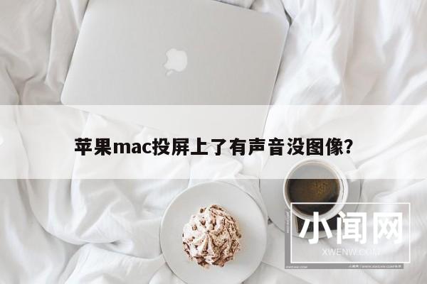 苹果mac投屏上了有声音没图像？