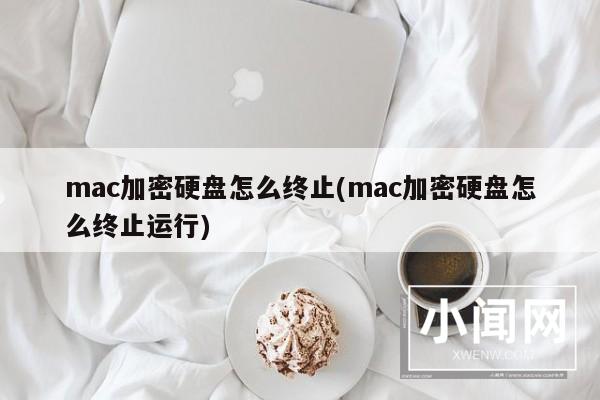 mac加密硬盘怎么终止(mac加密硬盘怎么终止运行)