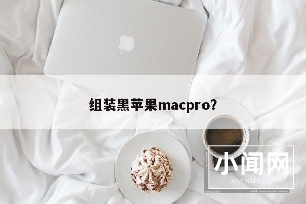 组装黑苹果macpro？