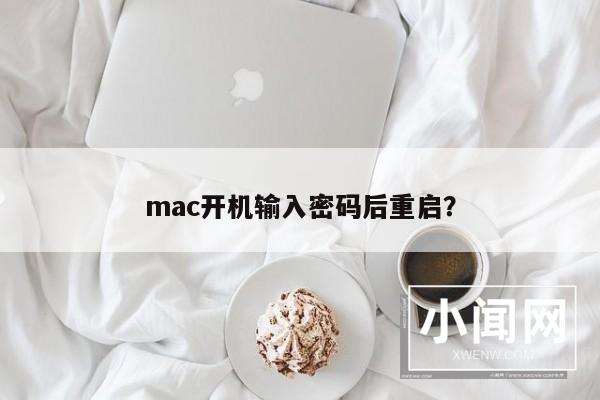 mac开机输入密码后重启？