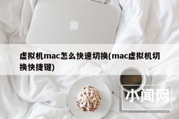 虚拟机mac怎么快速切换(mac虚拟机切换快捷键)