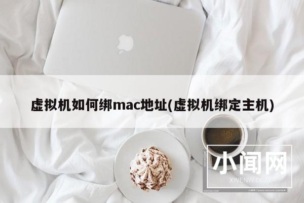 虚拟机如何绑mac地址(虚拟机绑定主机)