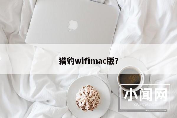 猎豹wifimac版？