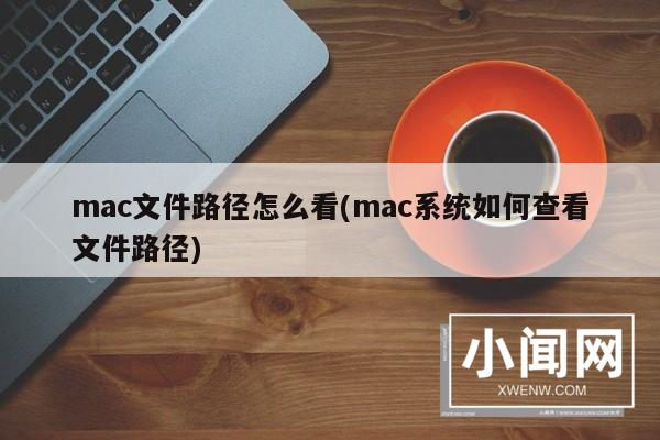 mac文件路径怎么看(mac系统如何查看文件路径)